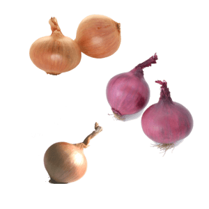 Oignon rosé breton, de Roscoff, rouge de la marque Prince de Bretagne